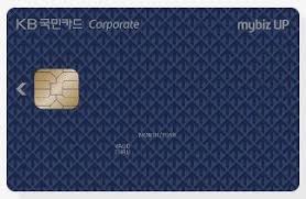 2025 비즈플러스 카드 신청|운영자금과 혜택, 두 마리 토끼 잡는 소상공인 전용 카드