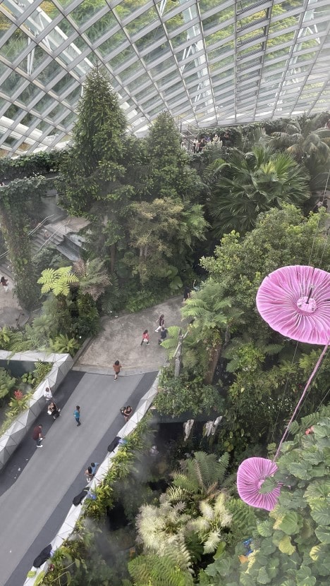 가든스 바이 더 베이 클라우드 포레스트