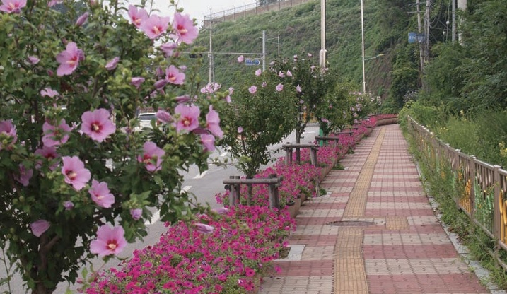 나라꽃 무궁화 대축제