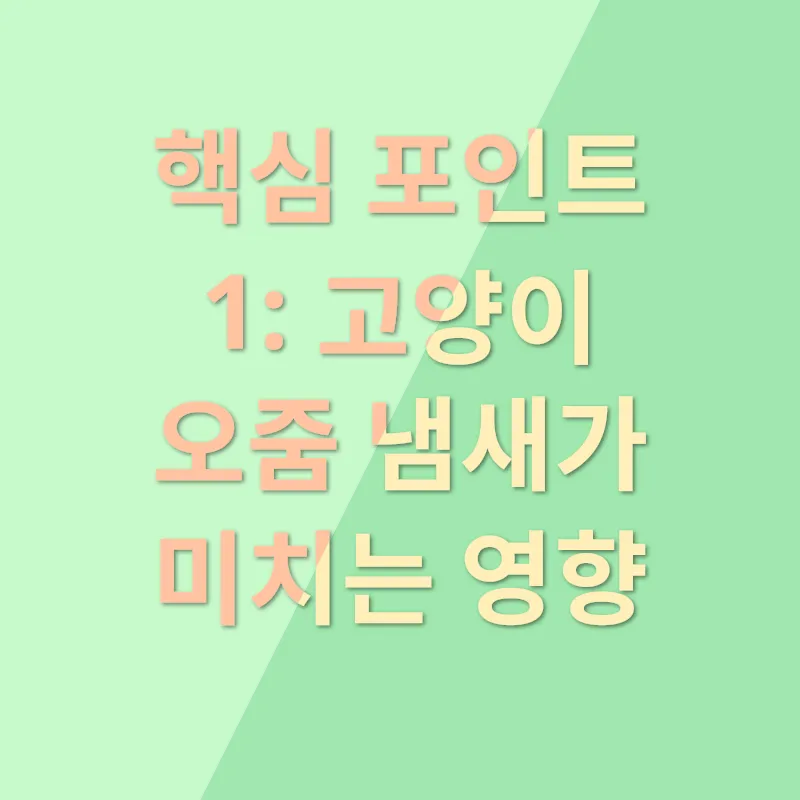 소파 청소_1