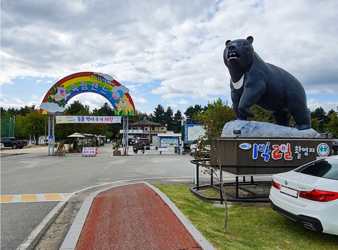 춘천 육림랜드