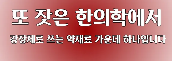  또 잣은 한의학에서 강장제로 쓰는 약재료 가운데 하나입니다