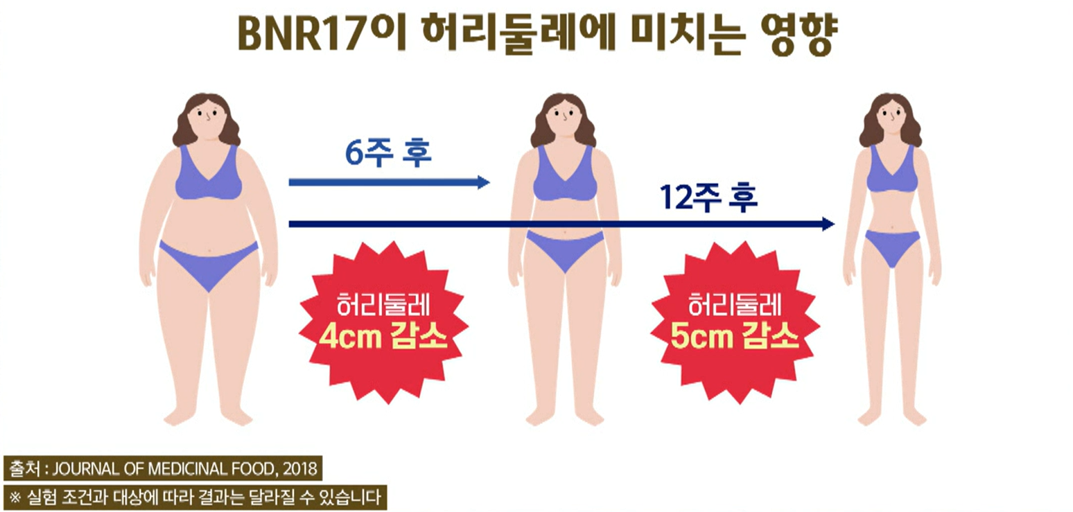 BNR17유산균 효능