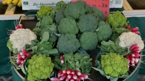 봄나물 장기 보관 마스터: 데친 취나물·쑥·냉이 향긋함 살리는 얼음 큐브 소분 팁