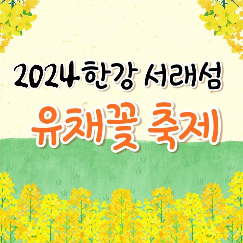 한강 서래섬 유채꽃 축제