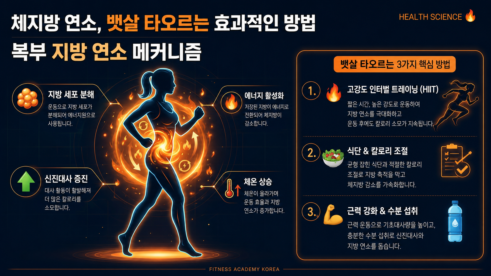 복부지방 연소 메커니즘 설명