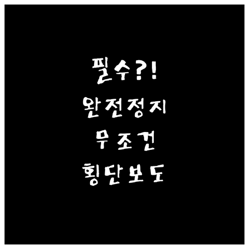 횡단보도 앞 보행자 없어도 완전 정지..