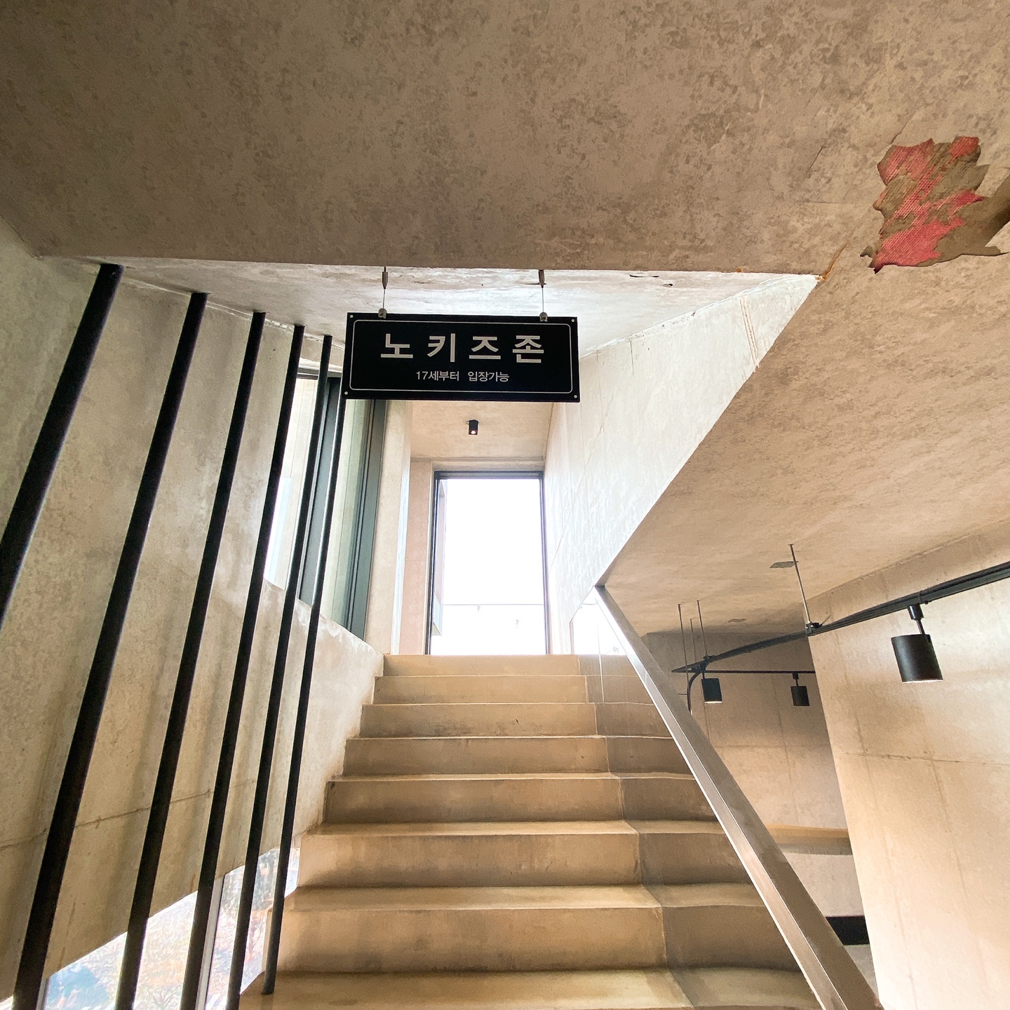 제주 안덕 유채꽃 포토존 오션뷰 카페 휴일로