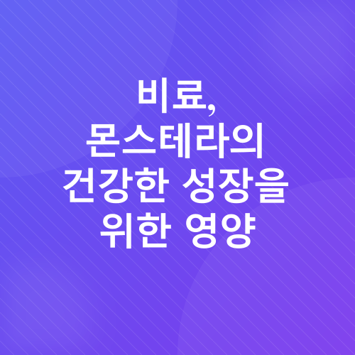 몬스테라 키우기_5