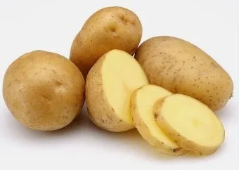 감자 심는 시기 재배 방법_4