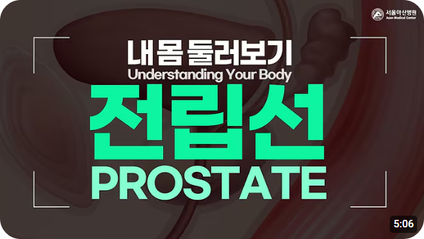 전립선