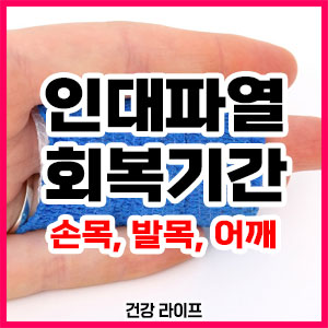 인대파열 회복기간