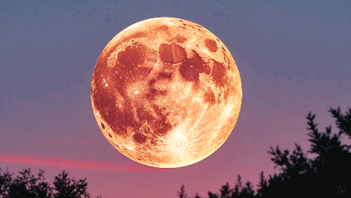 스트로베리 문 "The Full Moon of June, the Strawberry Moon"