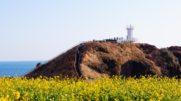 제주도 사진