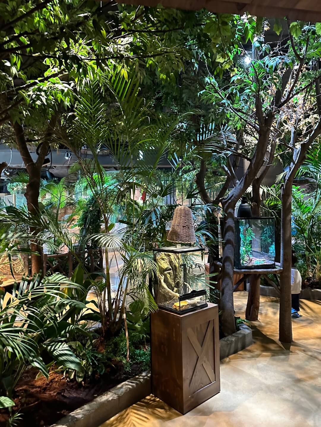 동탄 주렁주렁 동물원 파충류존 내부 모습