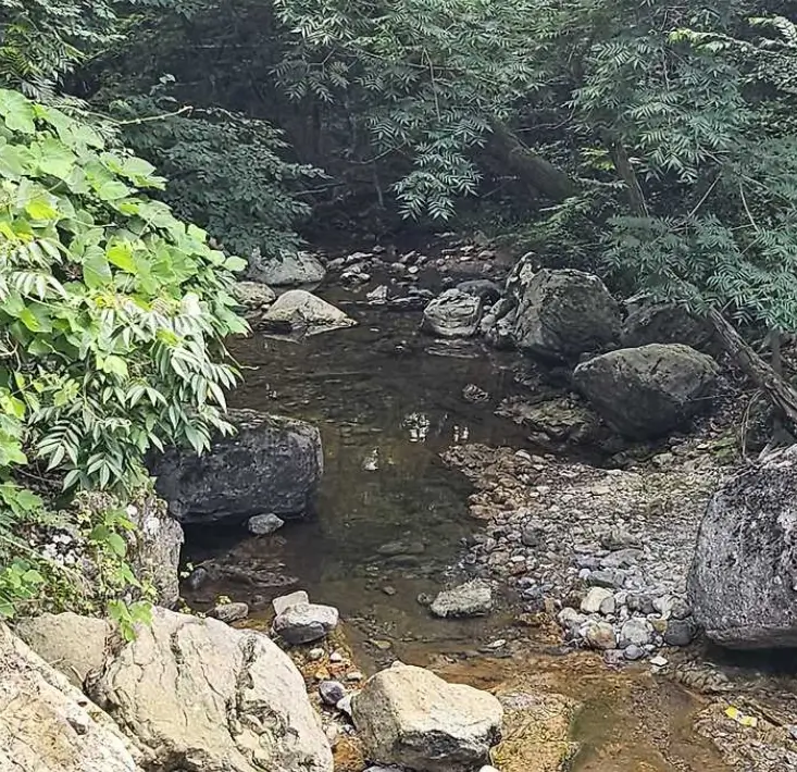 금강골 계곡
