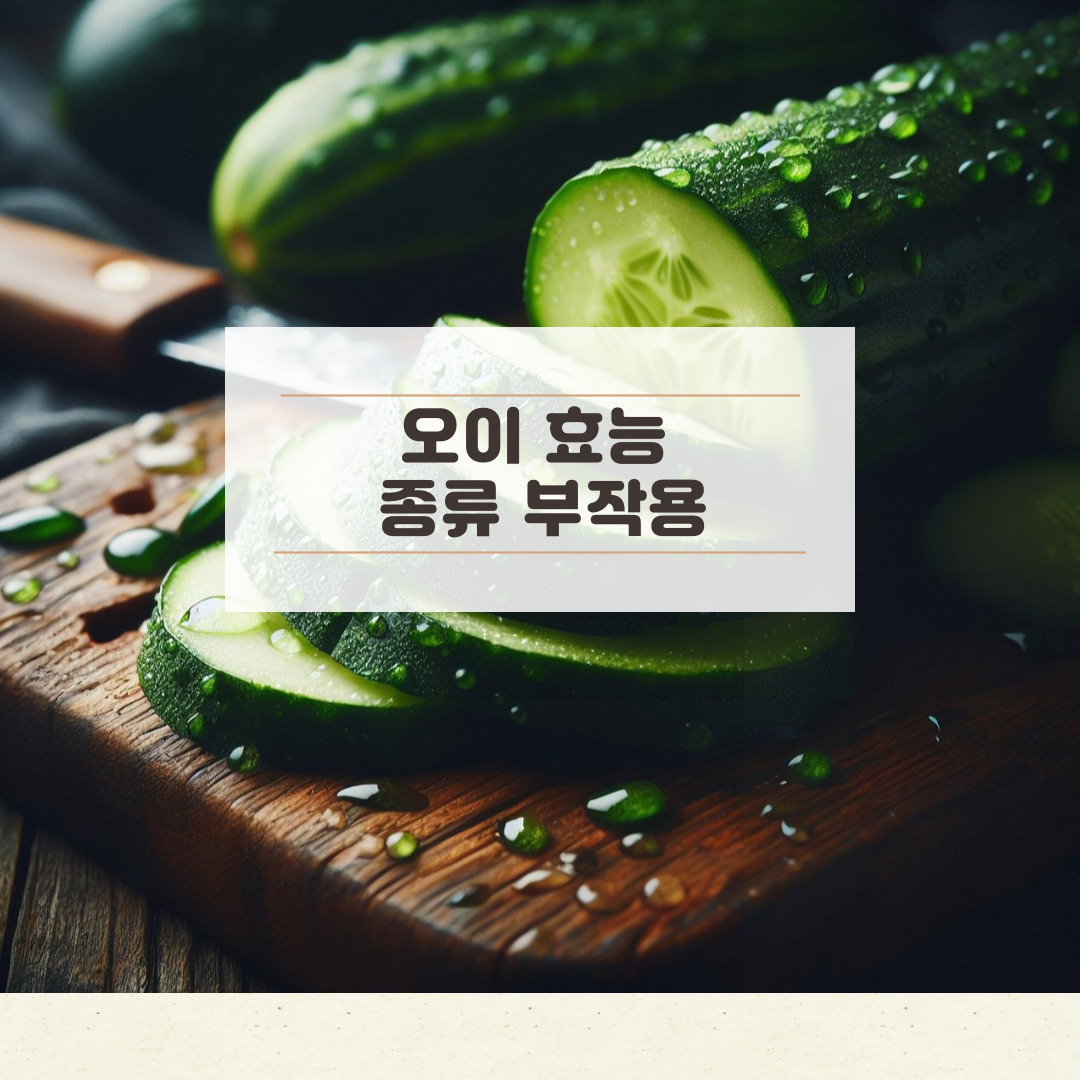 오이효능