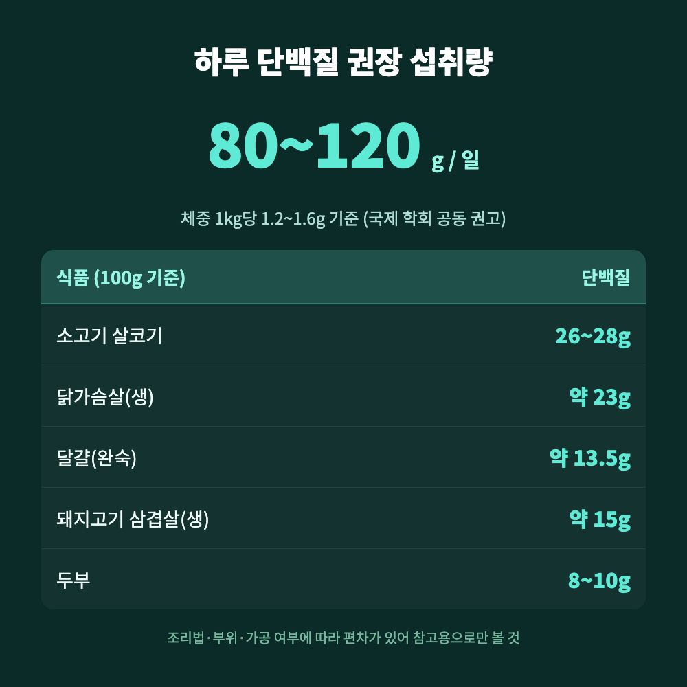 위고비 투여 중 하루 단백질 권장 섭취량(체중 1kg당 1.2~1.6g)과 닭가슴살&middot;소고기&middot;삼겹살&middot;두부&middot;계란의 100g당 단백질 함량 환산 표