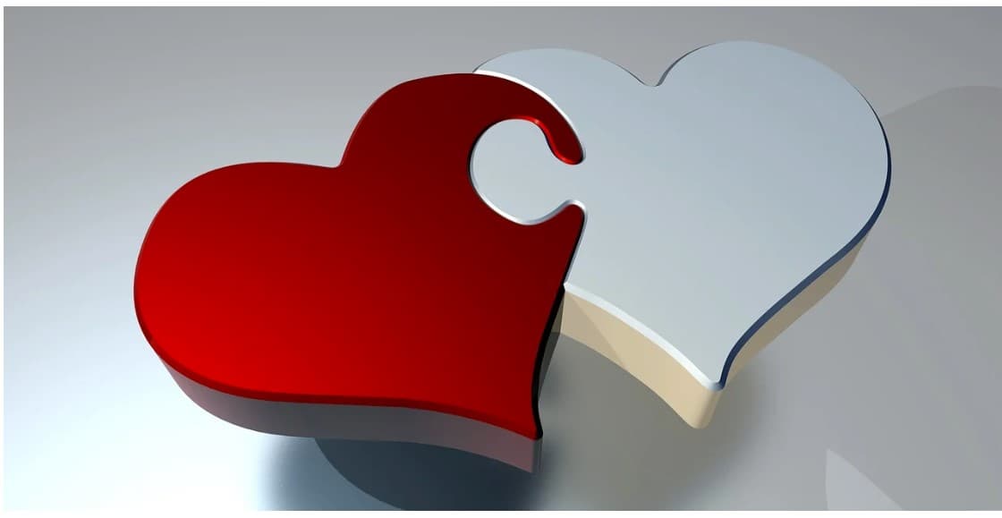 심장재활 과정에서 물리치료