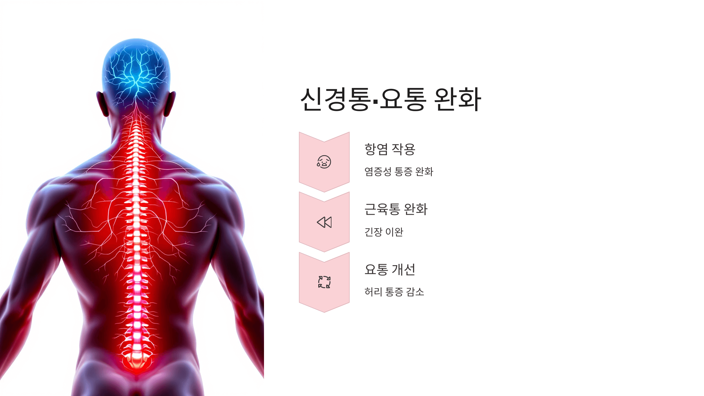 마가목 사진입니다.