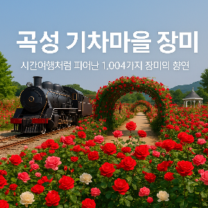 5월 꽃축제