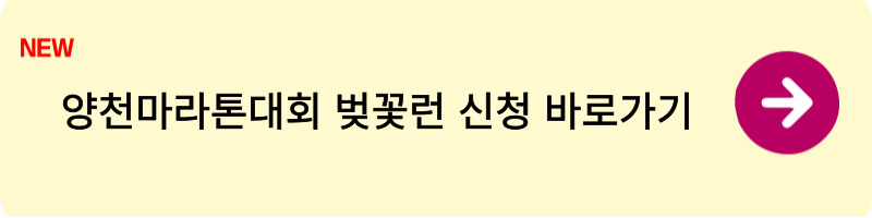 양천마라톤 대회 벚꽃런1