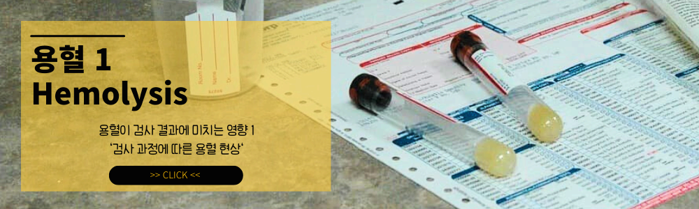 용혈(Hemolysis)이 검사 결과에 미치는 영향 ❘ 혈액 검사 오류의 주범 : 임상병리학적 의미와 방지법