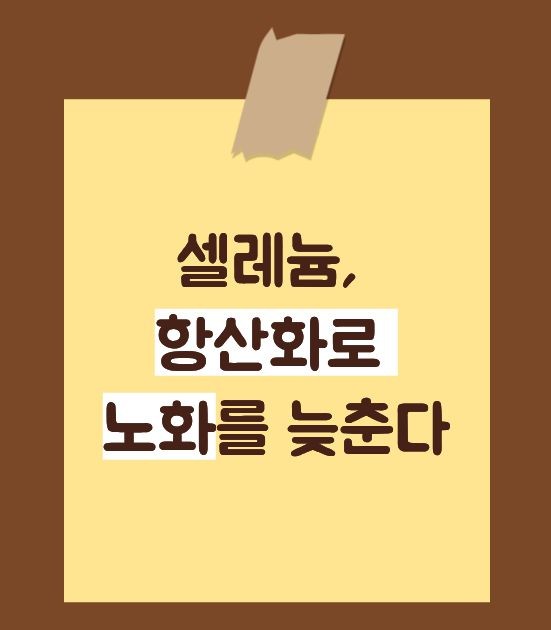 셀레늄 효능