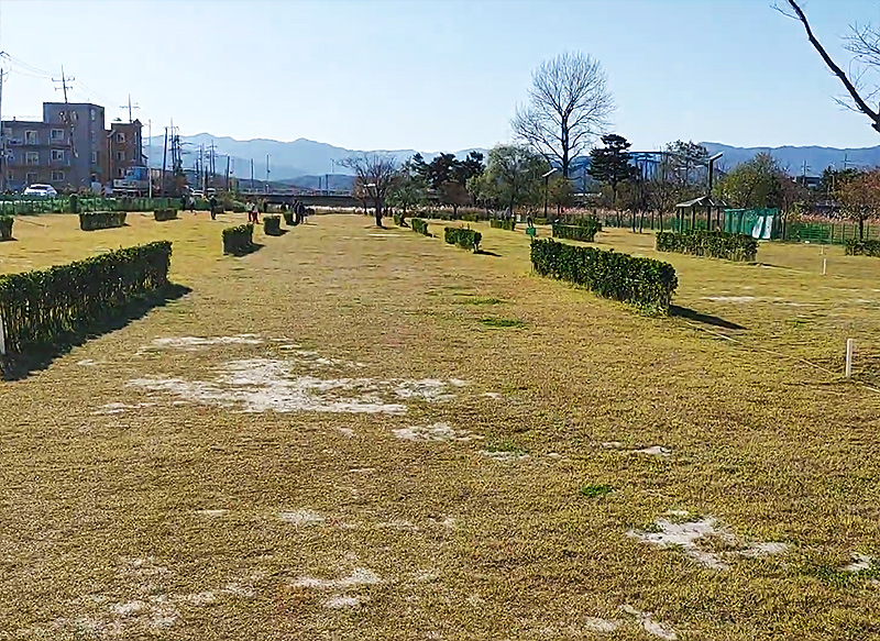 강원도 주문진파크골프장 (신리파크골프장)