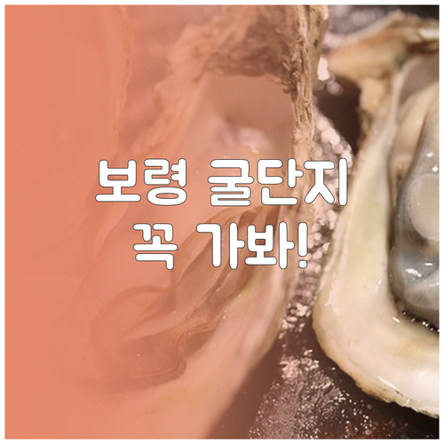 2월 보령 가볼만한곳 천북 굴단지 별..