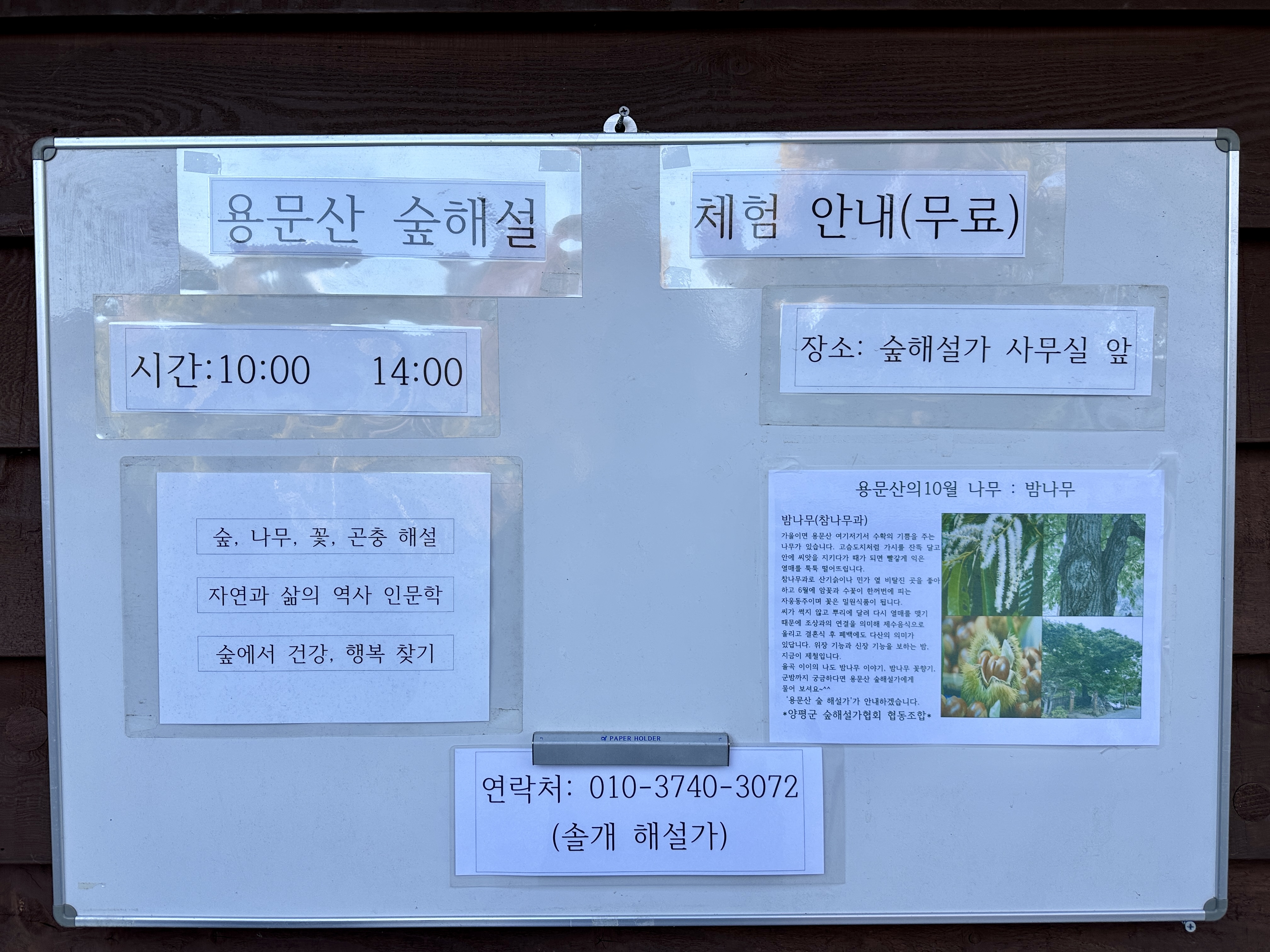 용문산 숲해설 체험