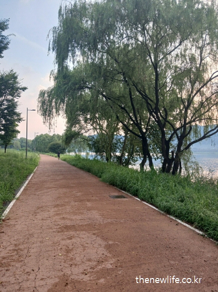 식후 졸린 이유 예방에 도움이 되는 강변 흙길 산책로, 식후 걷기 좋은 길