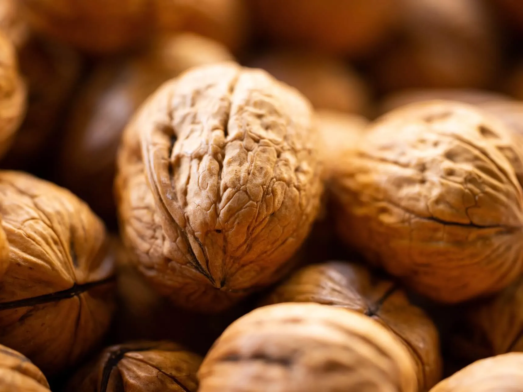 호두 심혈관에 좋음