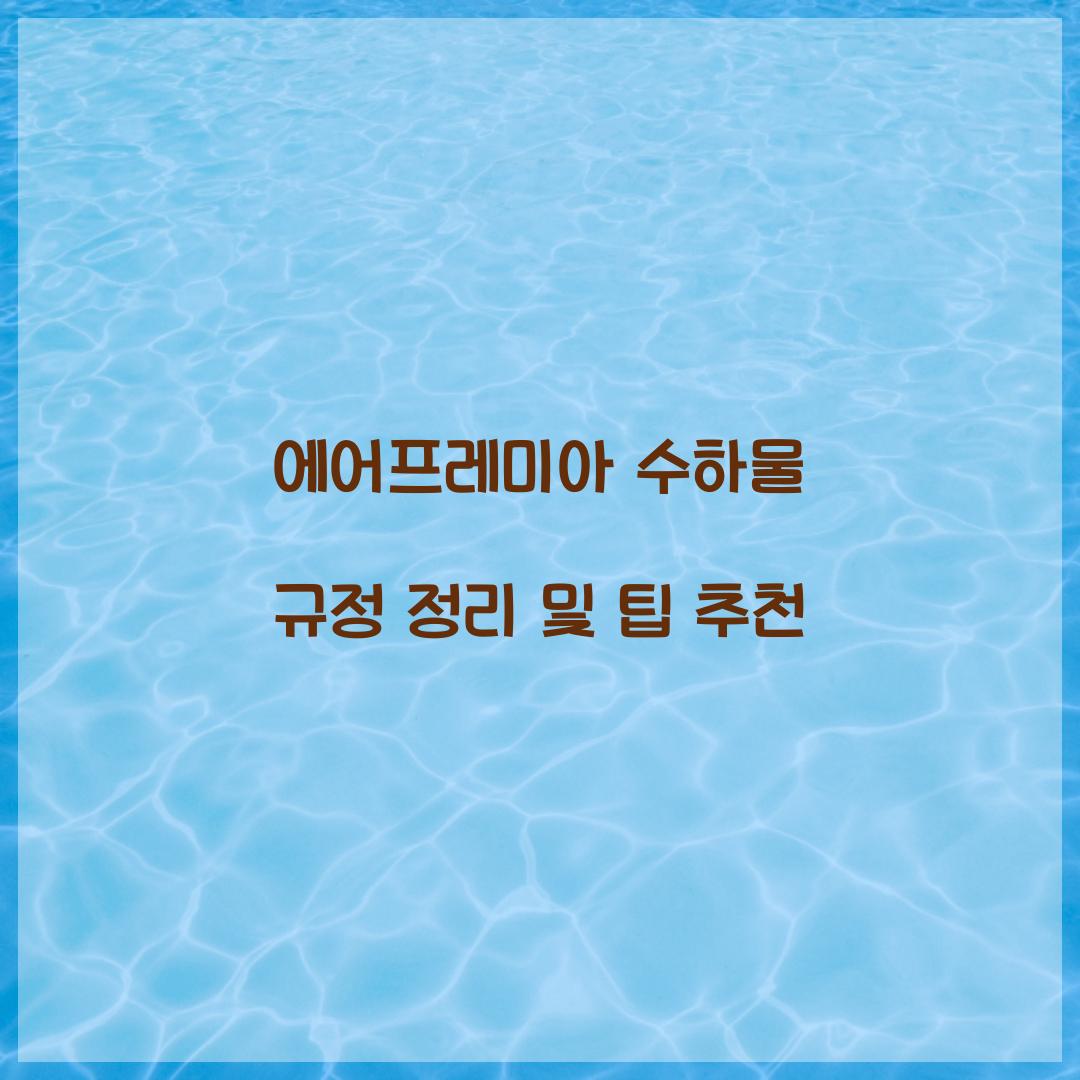 에어프레미아 수하물