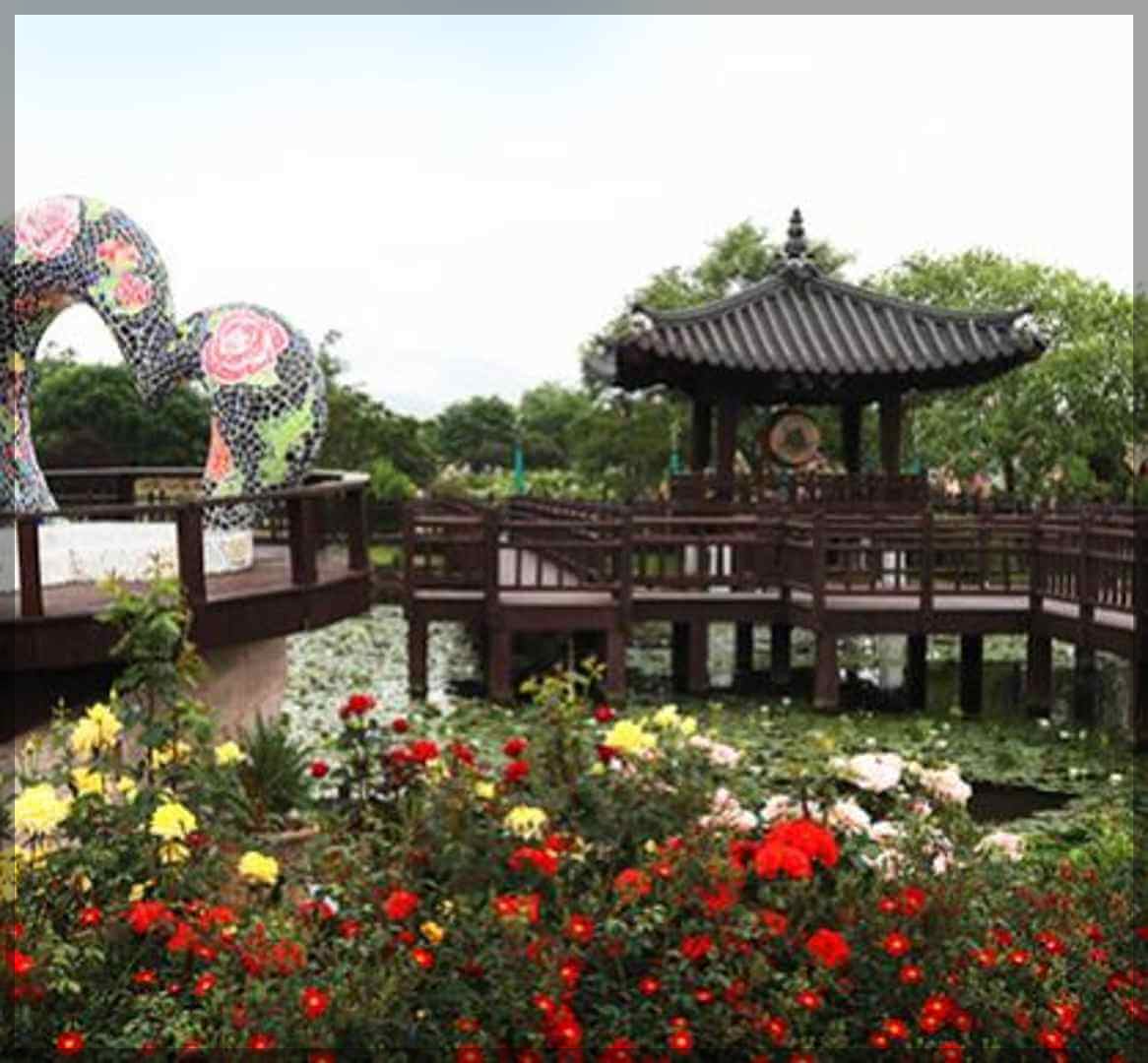 2024곡성장미축제 기간 내용 입장료 주차장 숙박[총정리]