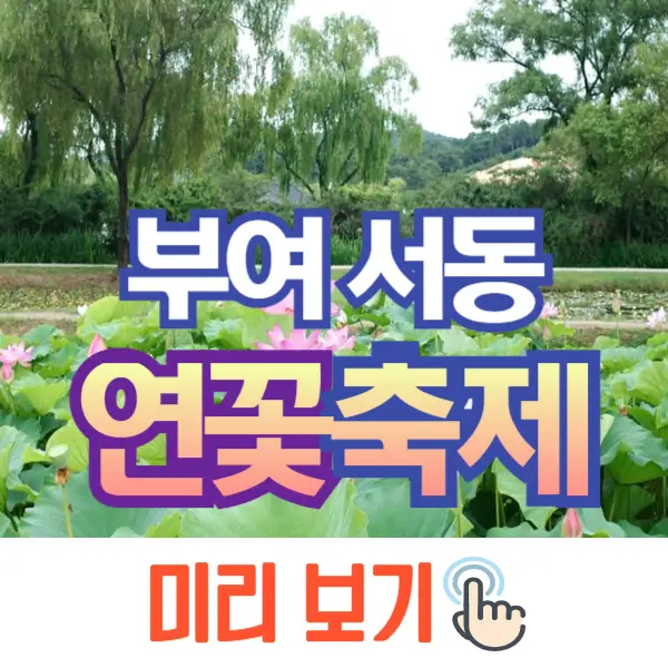 부여 서동 연꽃축제