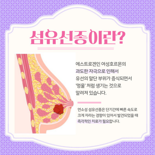 유방 섬유선종 수술 절제 과정, 관리법및, 필요성, 중요성