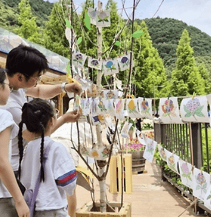 진주 월아산 수국축제