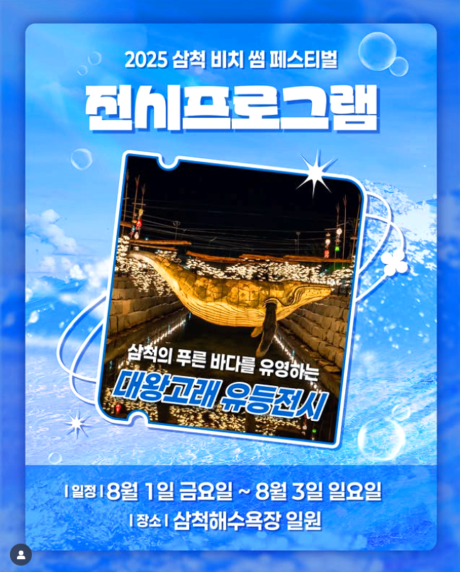 삼척 비치 썸 페스티벌