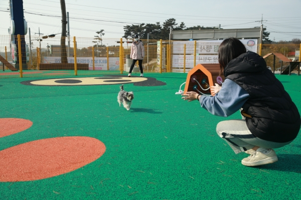 서울·인천·부천 반려동물 놀이터 추천 & 이용 꿀팁