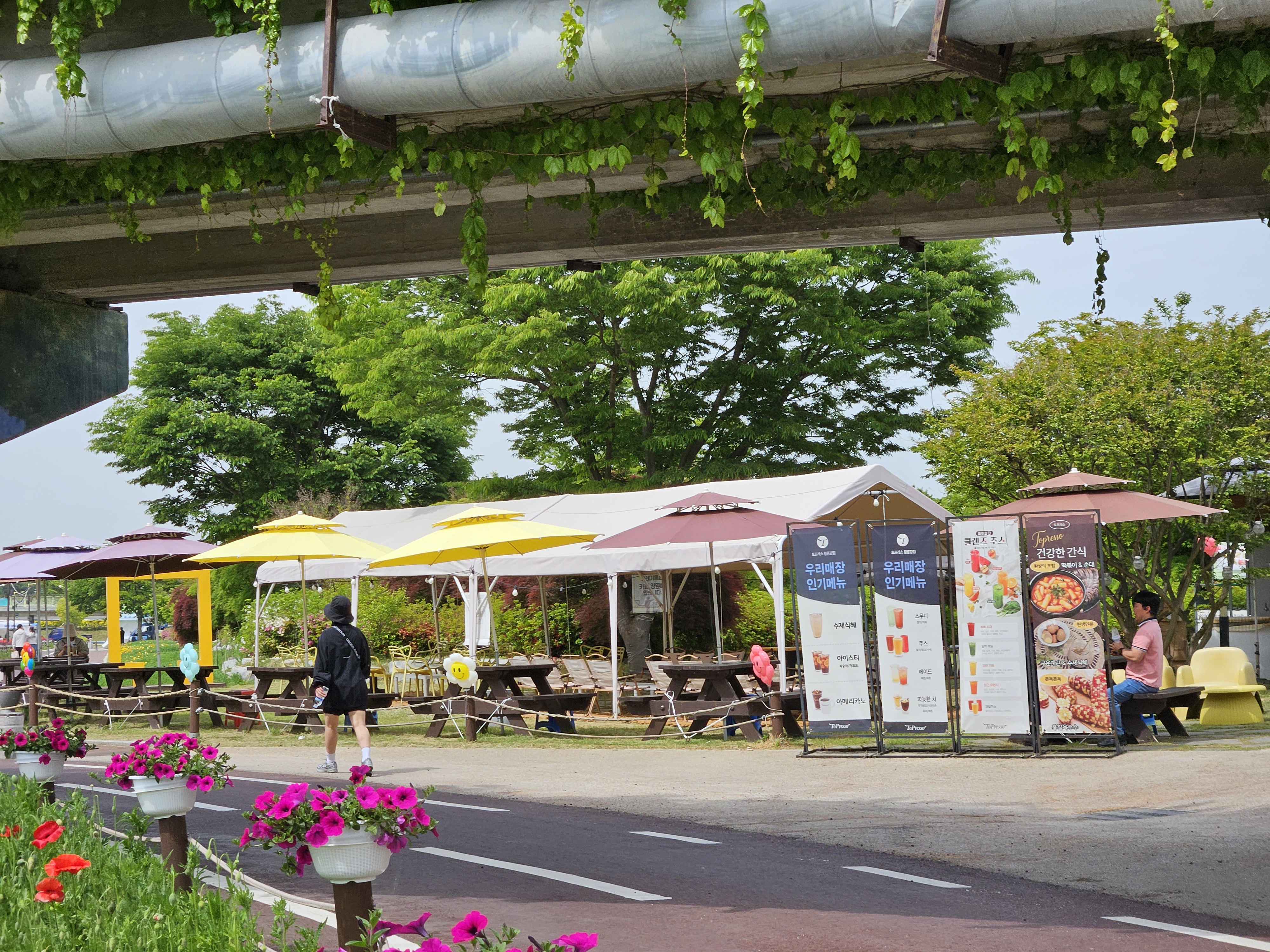 장성 여행 숙박할인 찬스! 꽃길 나들이, 알뜰 관광객 주목!