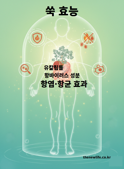 쑥 효능을 표현한 항염·항균 효과 일러스트 – 인체를 감싸는 보호막 속의 쑥 이미지로 면역 강화와 항바이러스 작용을 상징