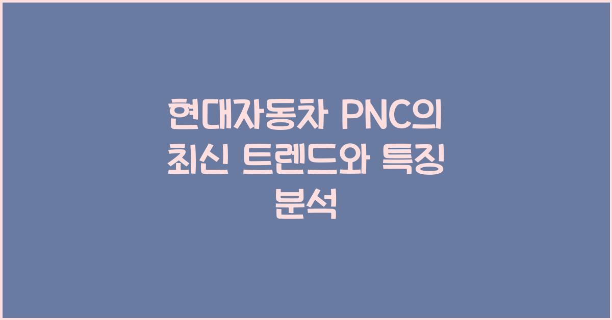 현대자동차 pnc