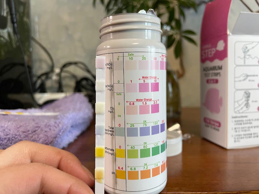 어항 수질 검사 표보기
