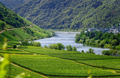 슬로우 트래블: 한 동네에서 2주간 살아봤습니다