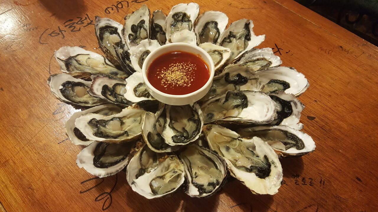 생방송투데이 과메기 경북 포항 맛집 정보