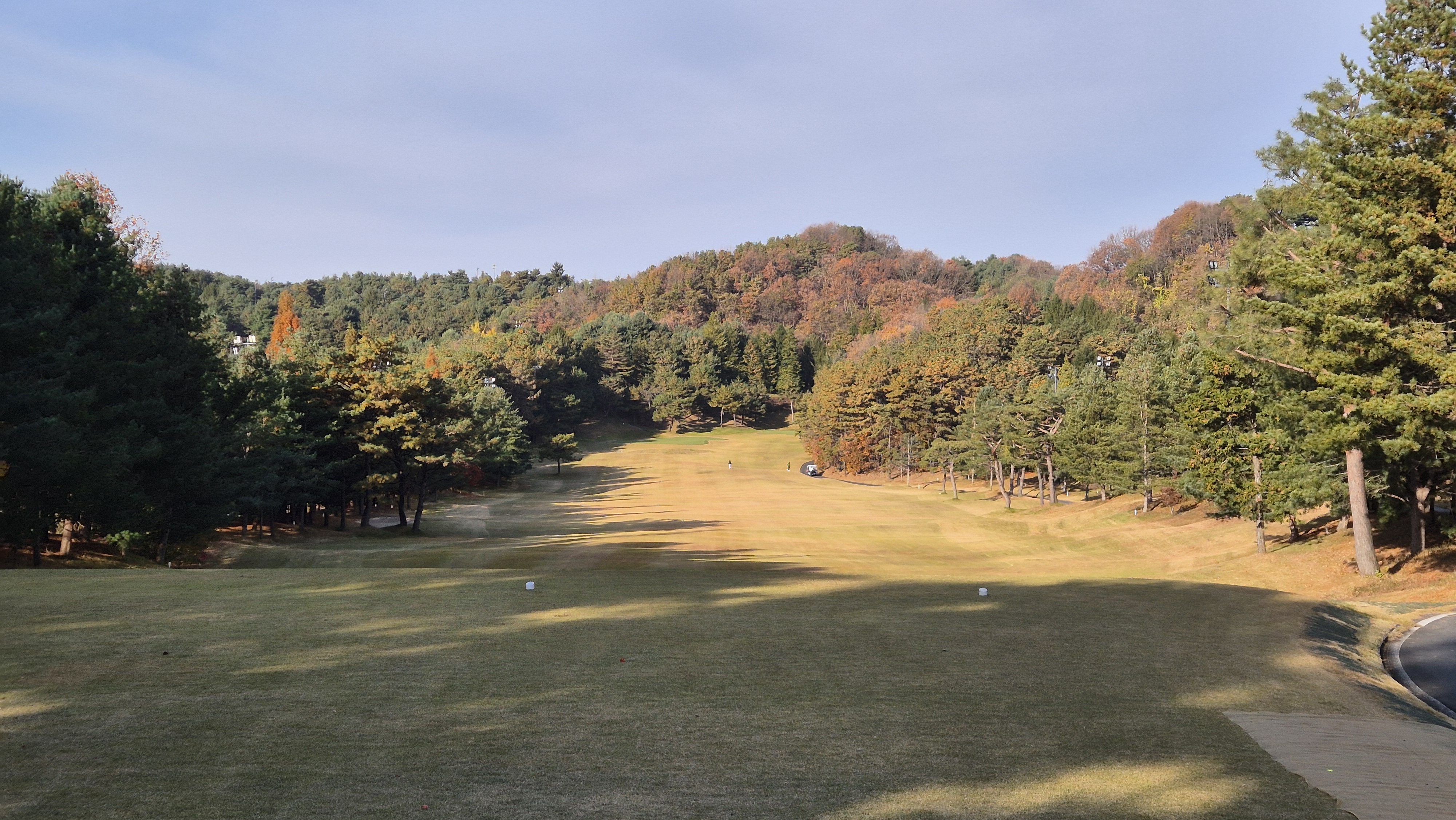 세종에머슨cc 밸리코스 사진 및 공략 정보