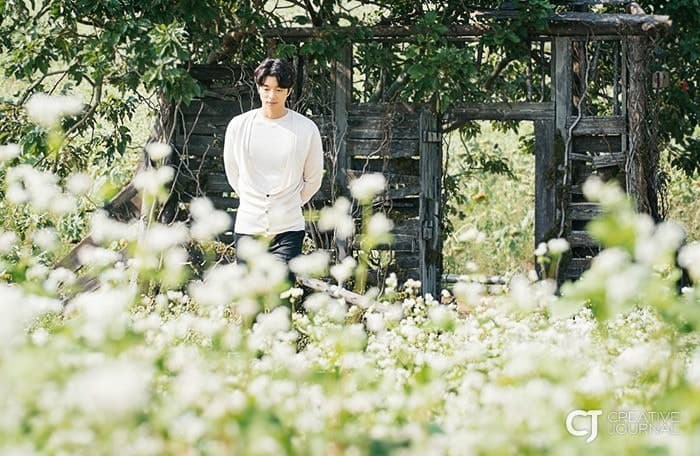 [4월~5월 축제]2025 고창 청보리밭 축제❘ 폭싹 속았수다 유채꽃밭, 연인 유채꽃밭, 도깨비 메밀꽃밭 촬영지, 일정, 기간, 주차(4/5일 방문 후기)