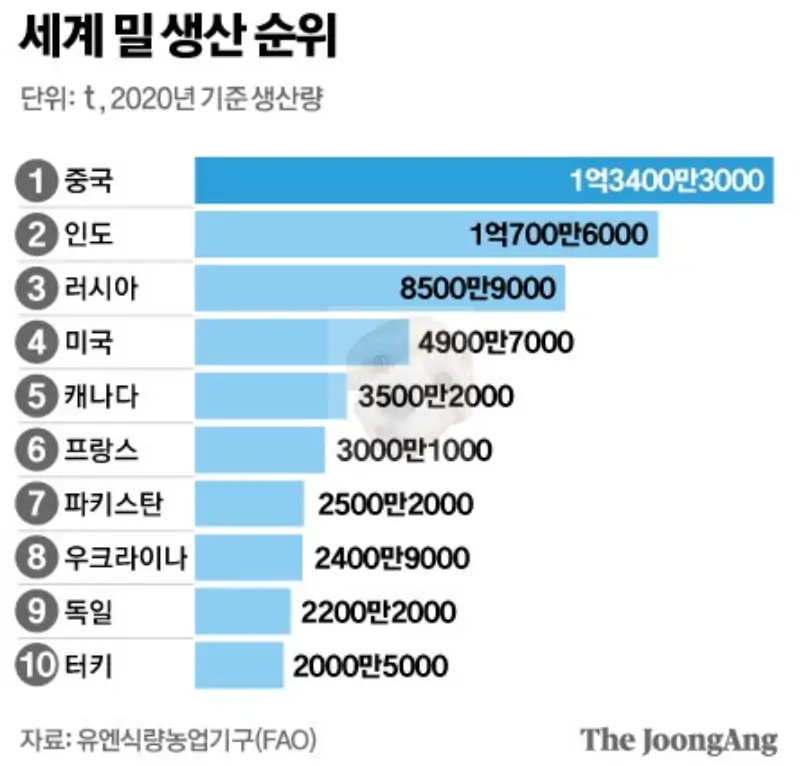 세계 밀 생산 순위 사진
