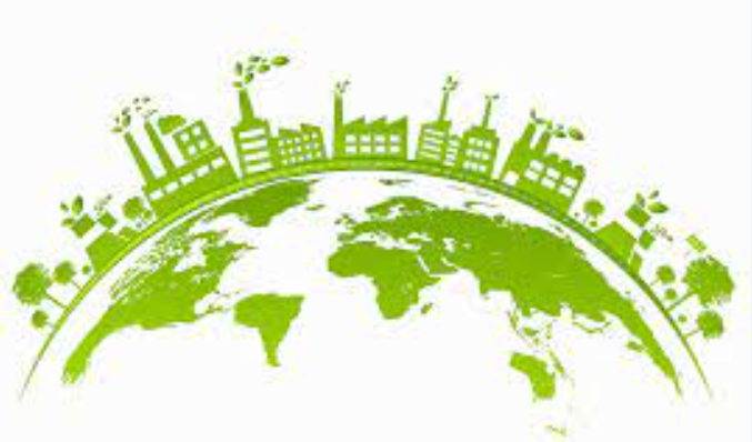 친환경 소비 관련 사진